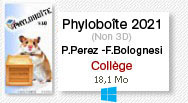logo phyloboîte