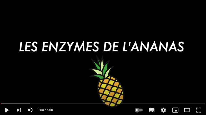 OAB-Ress-Exemple de capsules vidéos - Enzymes de l'Ananas