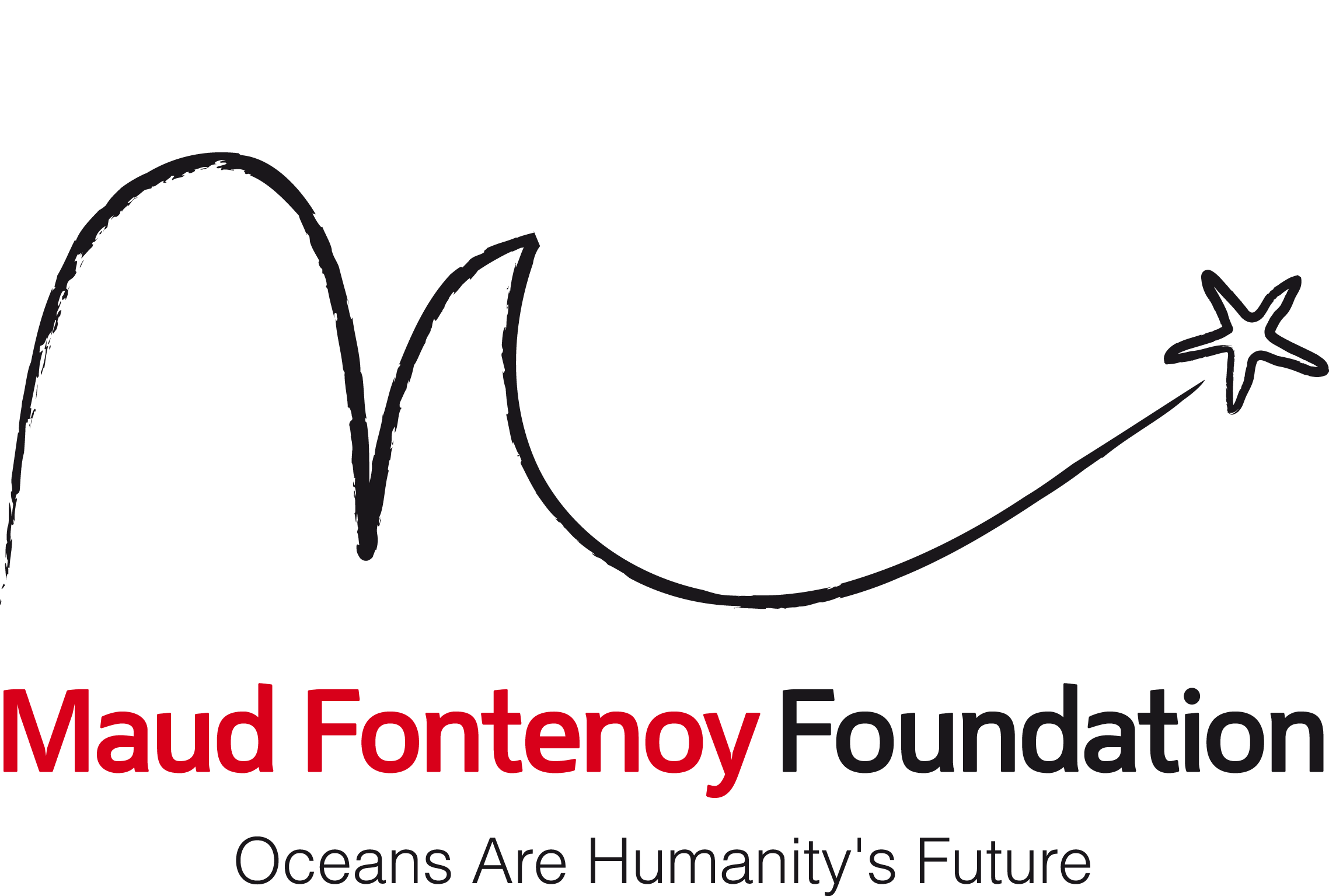 logo fondation maud fontenoy