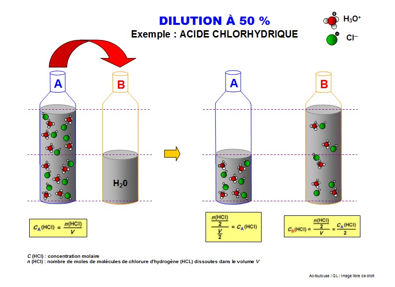 dilution 50%
