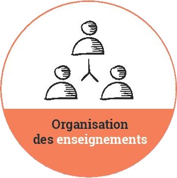bulle_organisation_enseignement.jpg